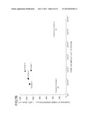 GAS DIFFUSION LAYER FOR FUEL CELL diagram and image