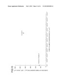 GAS DIFFUSION LAYER FOR FUEL CELL diagram and image