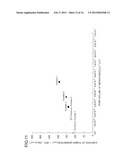 GAS DIFFUSION LAYER FOR FUEL CELL diagram and image