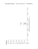 GAS DIFFUSION LAYER FOR FUEL CELL diagram and image