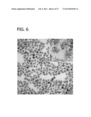 Palladium-Platinum Nanostructures And Methods For Their Preparation diagram and image