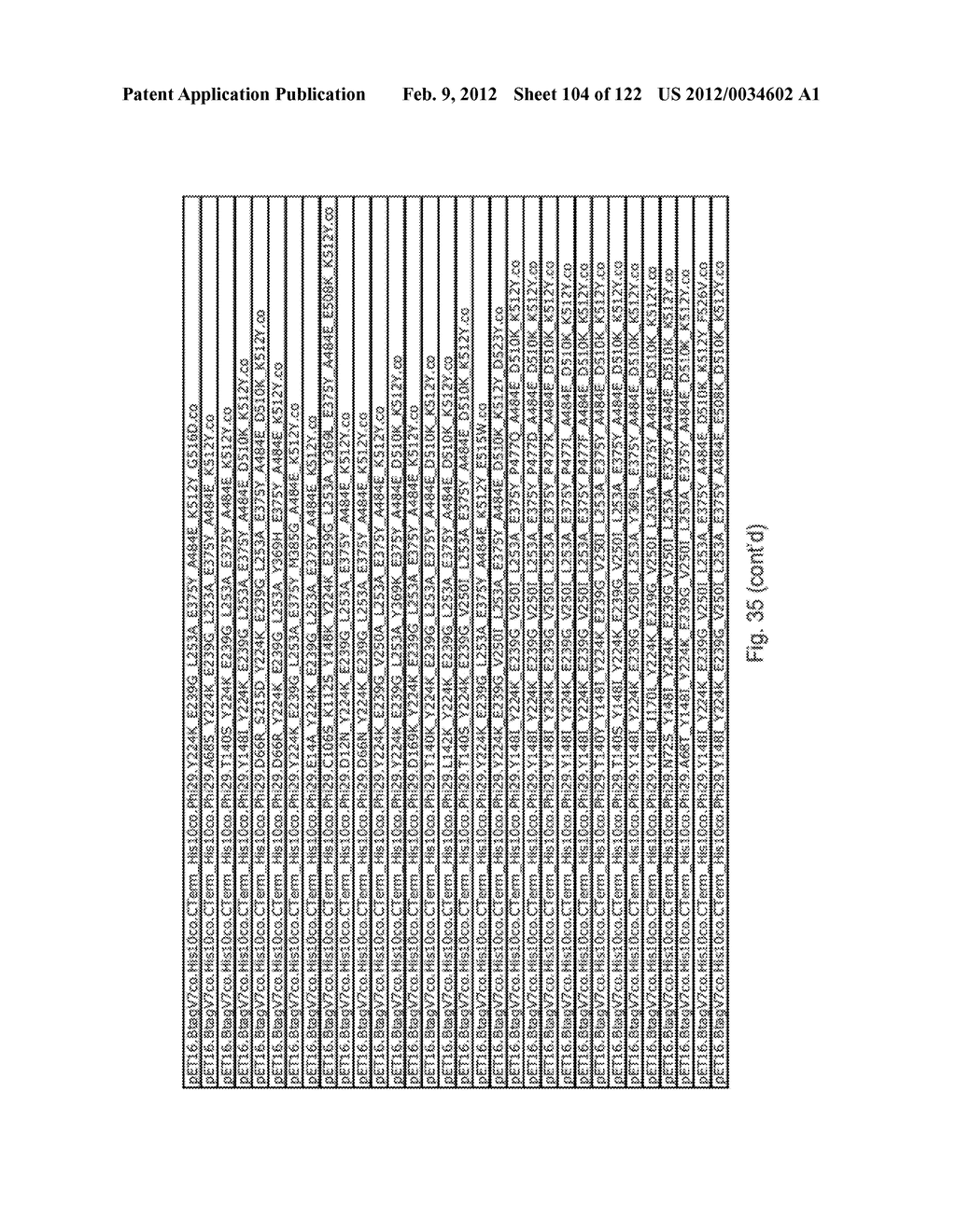 Recombinant Polymerases For Improved Single Molecule Sequencing - diagram, schematic, and image 105