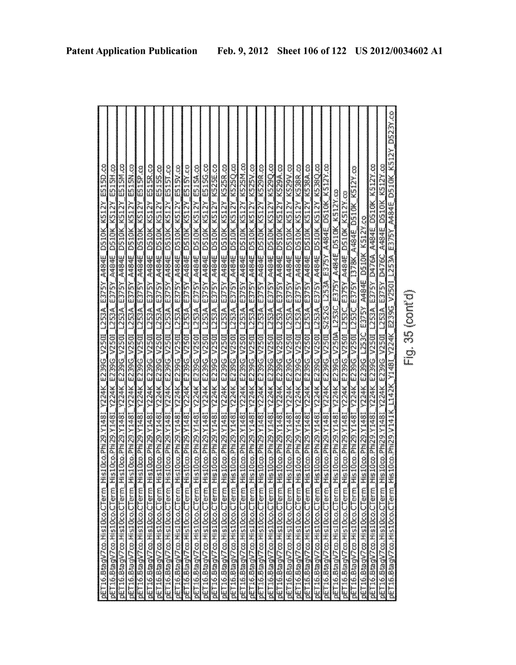 Recombinant Polymerases For Improved Single Molecule Sequencing - diagram, schematic, and image 107