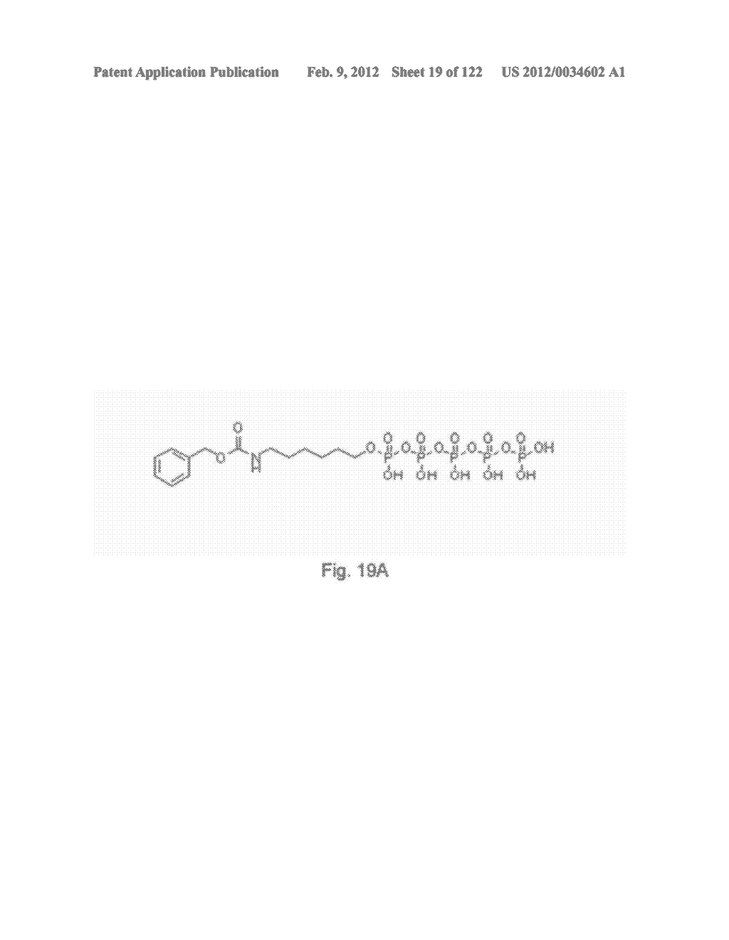 Recombinant Polymerases For Improved Single Molecule Sequencing - diagram, schematic, and image 20