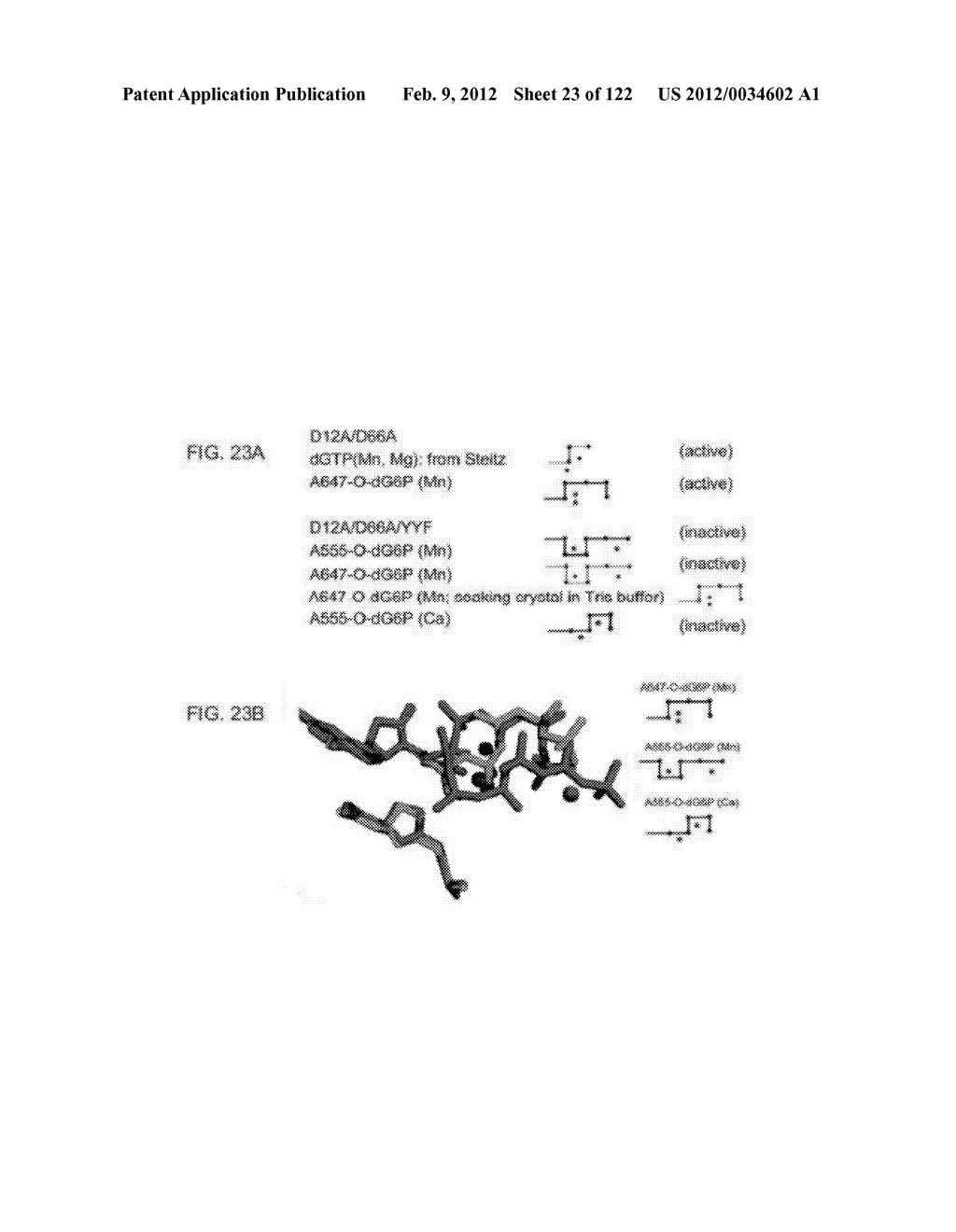 Recombinant Polymerases For Improved Single Molecule Sequencing - diagram, schematic, and image 24