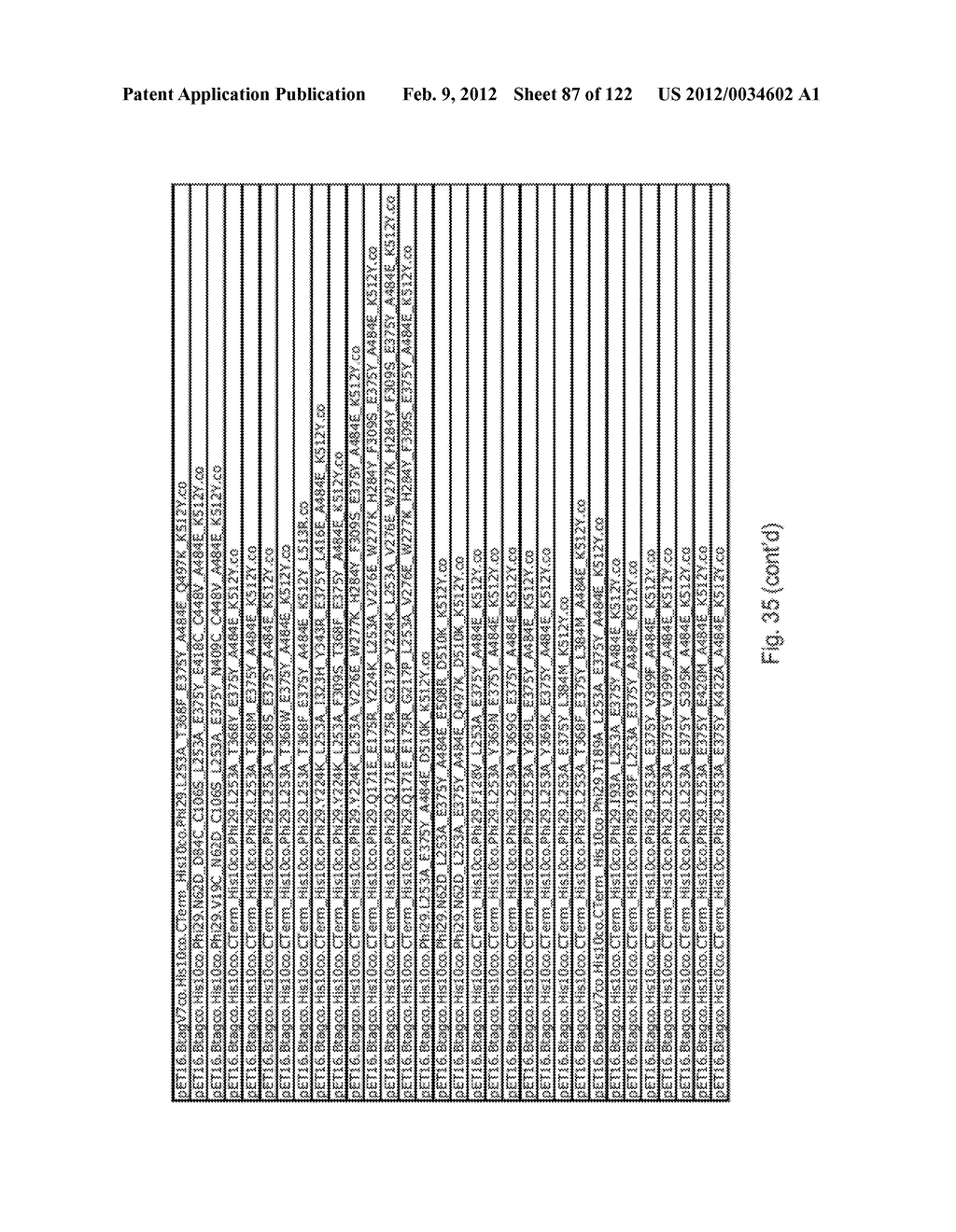 Recombinant Polymerases For Improved Single Molecule Sequencing - diagram, schematic, and image 88