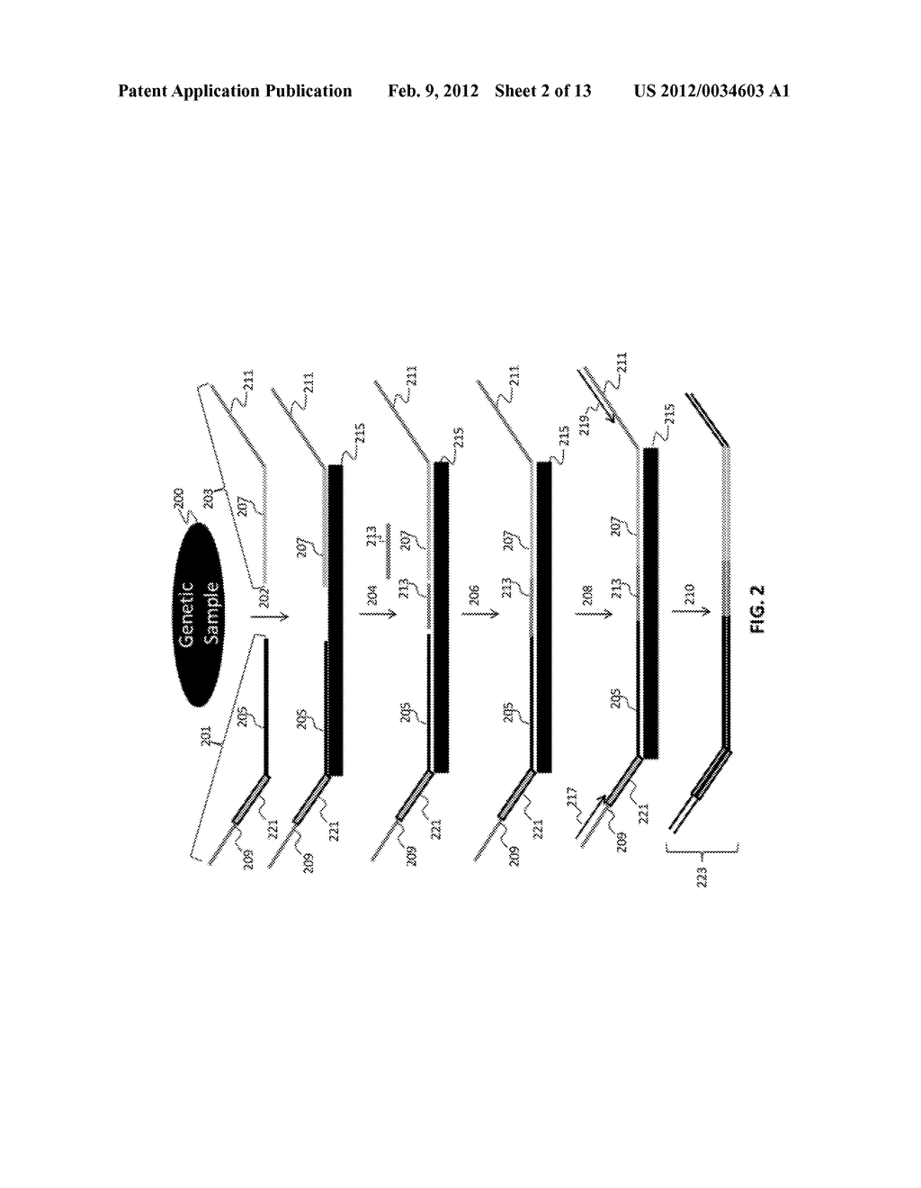 LIGATION-BASED DETECTION OF GENETIC VARIANTS - diagram, schematic, and image 03