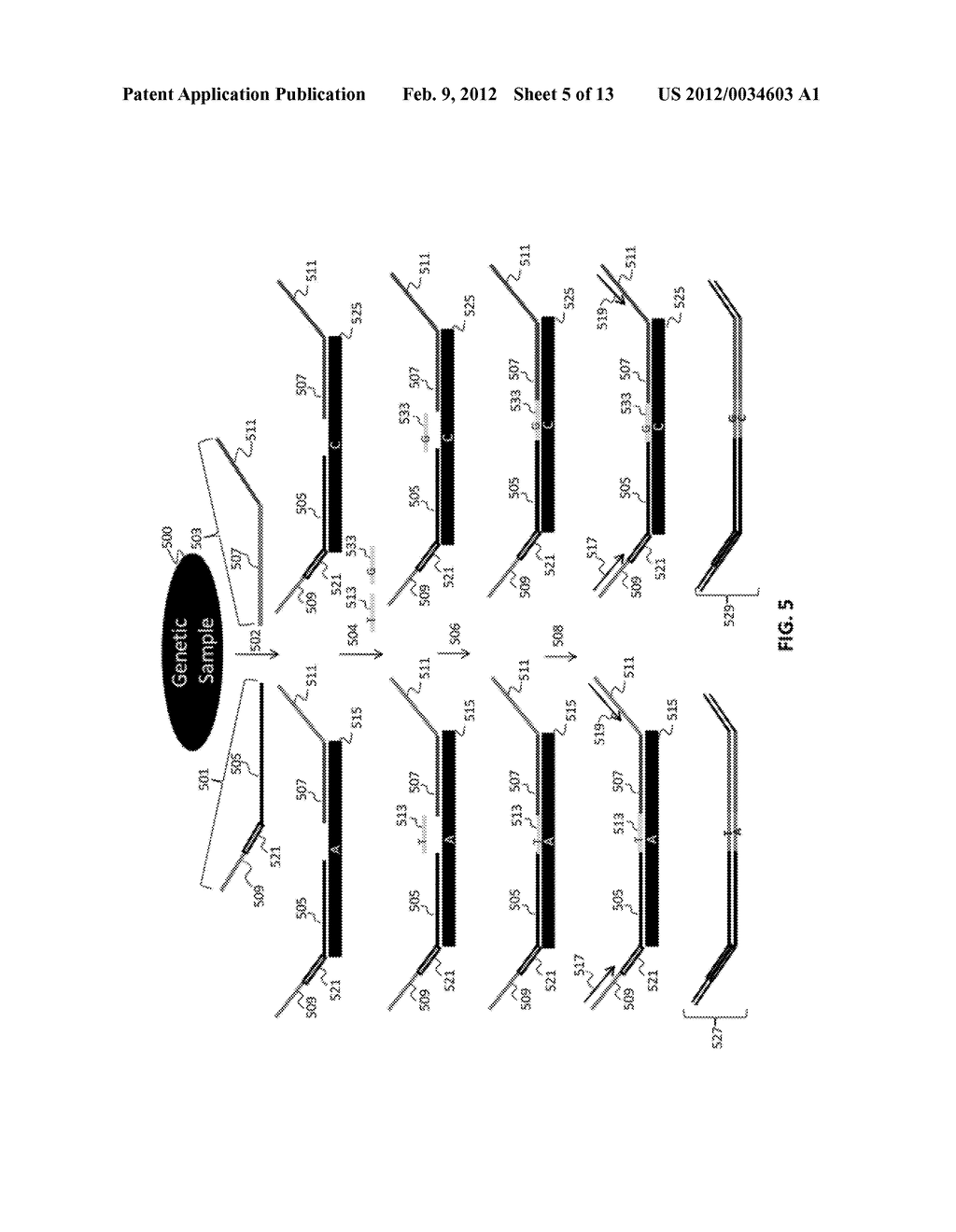 LIGATION-BASED DETECTION OF GENETIC VARIANTS - diagram, schematic, and image 06