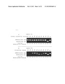 METHOD FOR DETECTION OF COLORECTAL TUMOR diagram and image