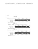 METHOD FOR DETECTION OF COLORECTAL TUMOR diagram and image