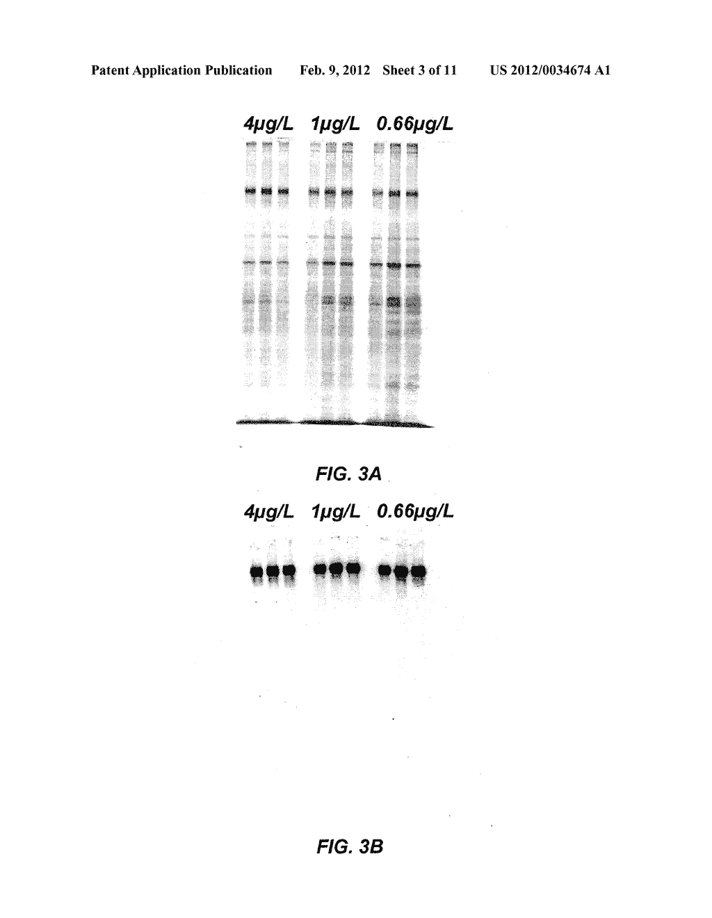 METHOD OF PRODUCING RECOMBINANT ADAMTS13 IN CELL CULTURE - diagram, schematic, and image 04