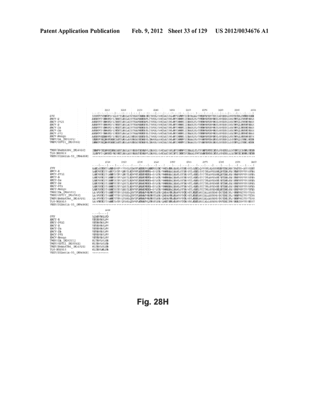 SENECA VALLEY VIRUS BASED COMPOSITIONS AND METHODS FOR TREATING DISEASE - diagram, schematic, and image 34