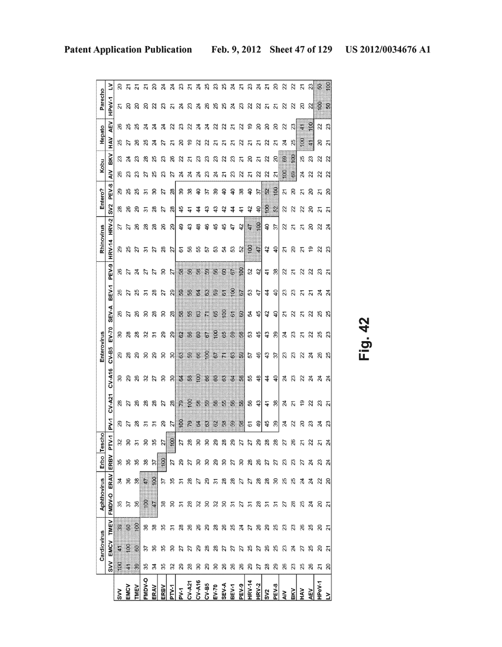 SENECA VALLEY VIRUS BASED COMPOSITIONS AND METHODS FOR TREATING DISEASE - diagram, schematic, and image 48