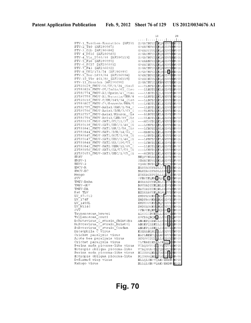 SENECA VALLEY VIRUS BASED COMPOSITIONS AND METHODS FOR TREATING DISEASE - diagram, schematic, and image 77