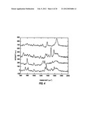 DEVICES AND METHODS FOR DUAL EXCITATION RAMAN SPECTROSCOPY diagram and image