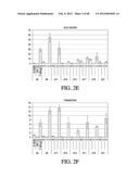 ENDOCRINE PRECURSOR CELLS, PANCREATIC HORMONE-EXPRESSING CELLS AND METHODS     OF PRODUCTION diagram and image