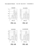 ENDOCRINE PRECURSOR CELLS, PANCREATIC HORMONE-EXPRESSING CELLS AND METHODS     OF PRODUCTION diagram and image