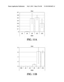 ENDOCRINE PRECURSOR CELLS, PANCREATIC HORMONE-EXPRESSING CELLS AND METHODS     OF PRODUCTION diagram and image