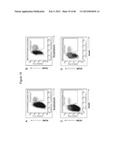 ENDOCRINE PRECURSOR CELLS, PANCREATIC HORMONE-EXPRESSING CELLS AND METHODS     OF PRODUCTION diagram and image