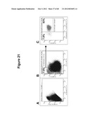 ENDOCRINE PRECURSOR CELLS, PANCREATIC HORMONE-EXPRESSING CELLS AND METHODS     OF PRODUCTION diagram and image