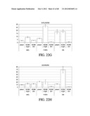 ENDOCRINE PRECURSOR CELLS, PANCREATIC HORMONE-EXPRESSING CELLS AND METHODS     OF PRODUCTION diagram and image