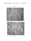 BREATHABLE LAMINATE AND METHOD OF MAKING SAME diagram and image