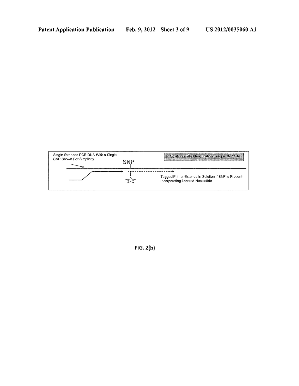 HIGHLY MULTIPLEXED GENOTYPING USING LEUKOREDUCED BLOOD SAMPLES - diagram, schematic, and image 04