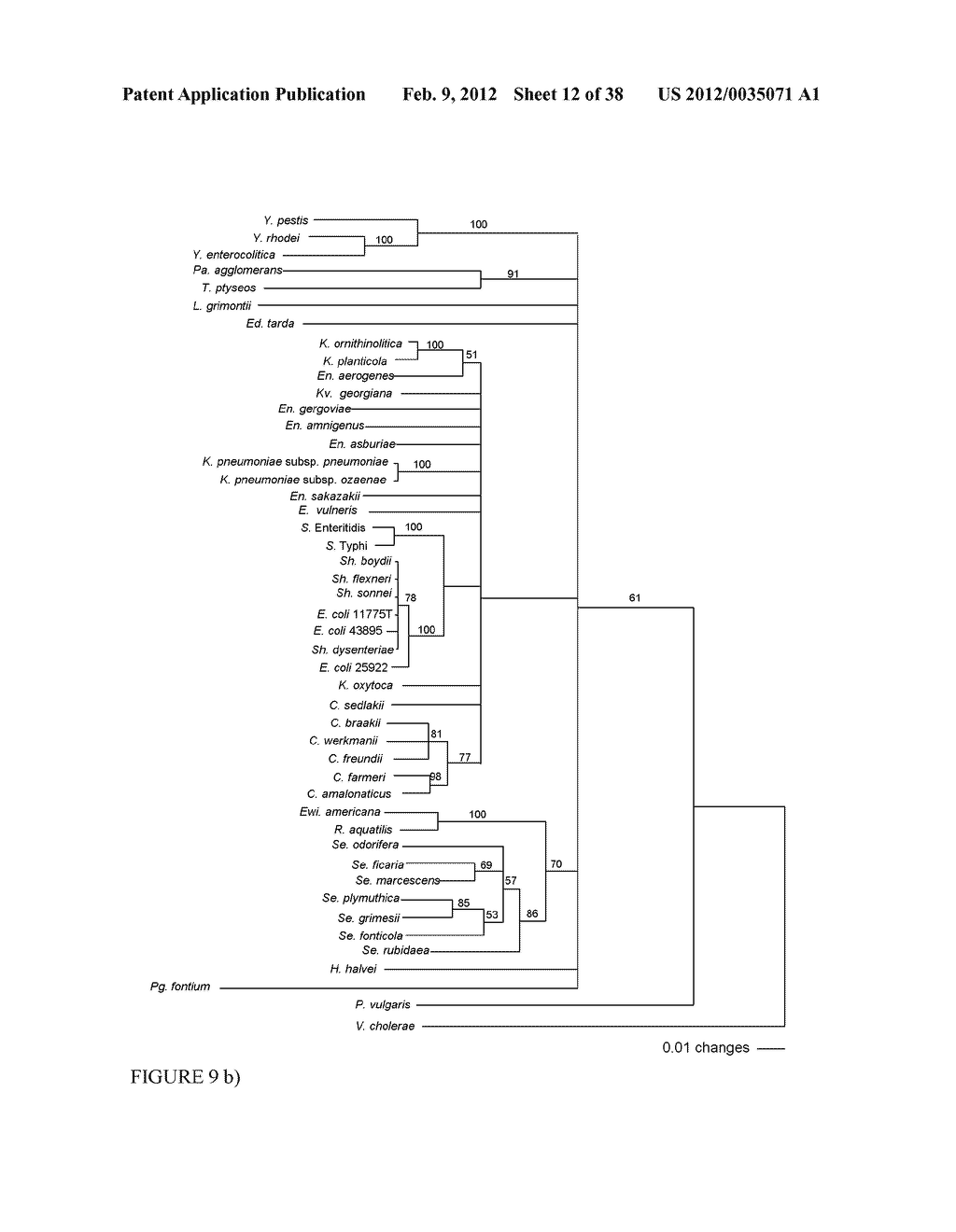 HIGHLY CONSERVED GENES AND THEIR USE TO GENERATE PROBES AND PRIMERS FOR     DETECTION OF MICROORGANISMS - diagram, schematic, and image 13