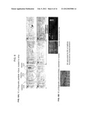 DEVICE AND METHOD FOR PARTICLE COMPLEX HANDLING diagram and image