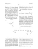 Insulin derivatives diagram and image