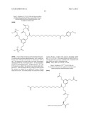 Insulin derivatives diagram and image