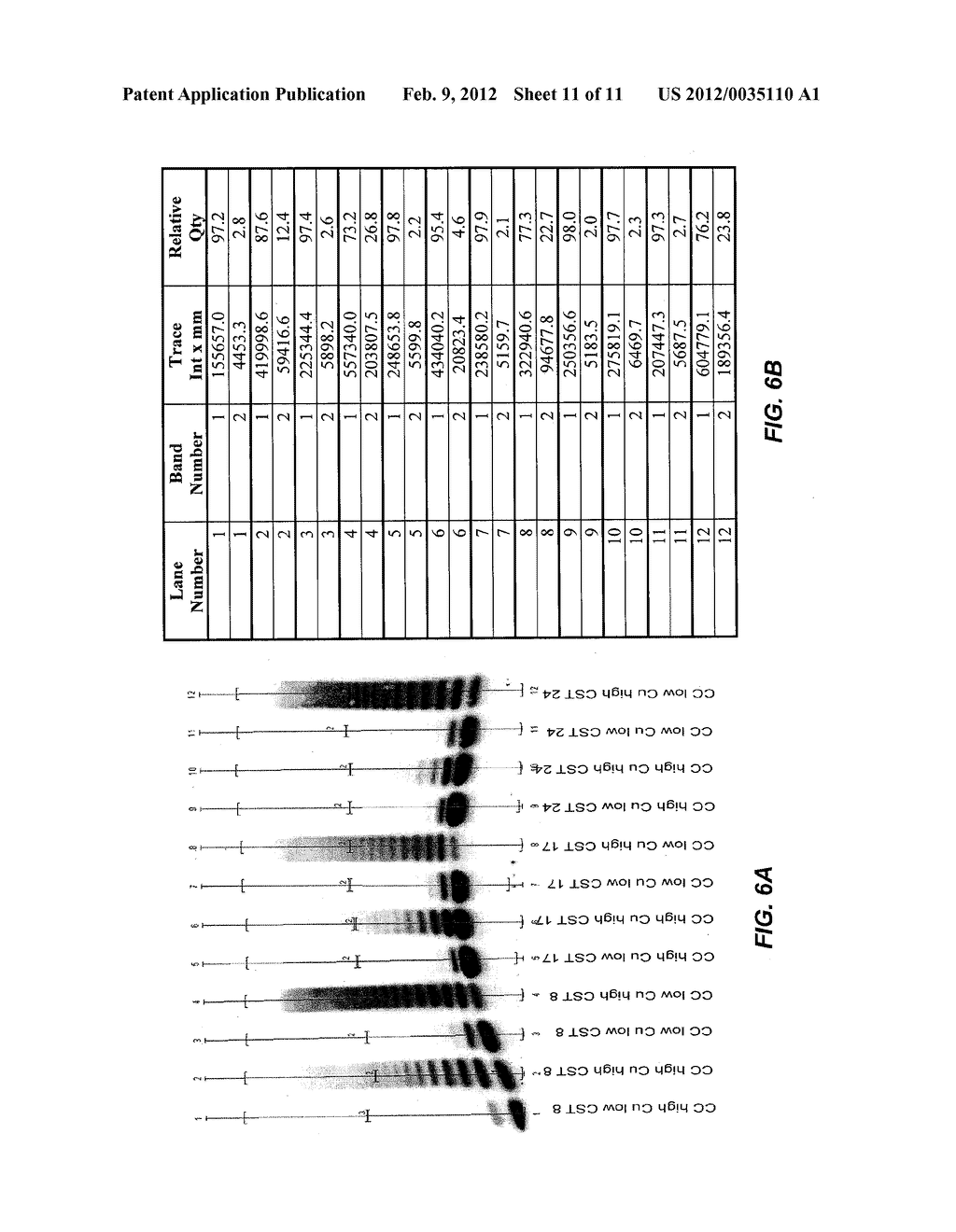 METHOD OF PRODUCING RECOMBINANT HIGH MOLECULAR WEIGHT vWF IN CELL CULTURE - diagram, schematic, and image 12