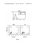 METHODS OF REDUCING TRAIL-INDUCED APOPTOSIS BY TRAIL ISOFORMS diagram and image