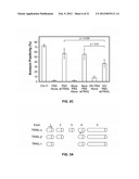 METHODS OF REDUCING TRAIL-INDUCED APOPTOSIS BY TRAIL ISOFORMS diagram and image