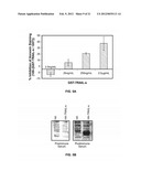 METHODS OF REDUCING TRAIL-INDUCED APOPTOSIS BY TRAIL ISOFORMS diagram and image