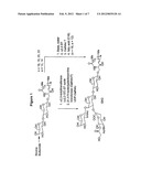 GLYCOLIPIDS AS TREATMENT FOR DISEASE diagram and image