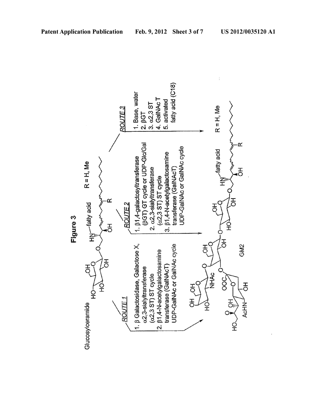 GLYCOLIPIDS AS TREATMENT FOR DISEASE - diagram, schematic, and image 04