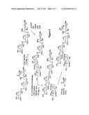 GLYCOLIPIDS AS TREATMENT FOR DISEASE diagram and image