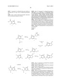 BORON-CONTAINING SMALL MOLECULES diagram and image