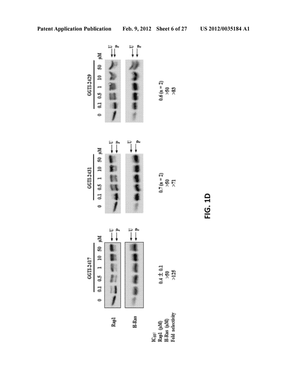 METHODS FOR INDUCING TUMOR REGRESSION, INHIBITING TUMOR GROWTH, AND     INDUCING APOPTOSIS IN BREAST TUMORS WITH GERANYLGERANYLTRANSFERASE I     INHIBITORS - diagram, schematic, and image 07