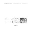 BUTACLAMOL FOR THE TREATMENT OF AMYOTROPHIC LATERAL SCLEROSIS diagram and image