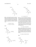2-OXO-1-PYRROLIDINE DERIVATIVES, PROCESSES FOR PREPARING THEM AND THEIR     USES diagram and image