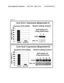 PHARMACEUTICAL COMPOSITION FOR TREATING OBESITY OR DIABETES diagram and image