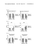 PHARMACEUTICAL COMPOSITION FOR TREATING OBESITY OR DIABETES diagram and image