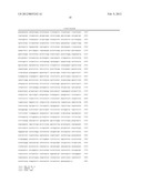 PHARMACEUTICAL COMPOSITION FOR TREATING OBESITY OR DIABETES diagram and image