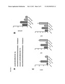 DUAL TARGETING OF MIR-208 AND MIR-499 IN THE TREATMENT OF CARDIAC     DISORDERS diagram and image