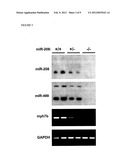 DUAL TARGETING OF MIR-208 AND MIR-499 IN THE TREATMENT OF CARDIAC     DISORDERS diagram and image