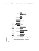 PARP1 TARGETED THERAPY diagram and image