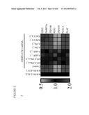 PARP1 TARGETED THERAPY diagram and image