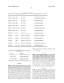 PARP1 TARGETED THERAPY diagram and image